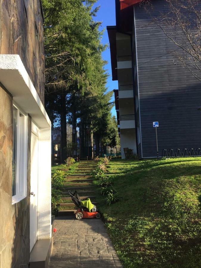 Condominio Robles Camino Al Volcan Pucon Exterior photo