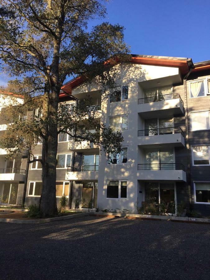 Condominio Robles Camino Al Volcan Pucon Exterior photo